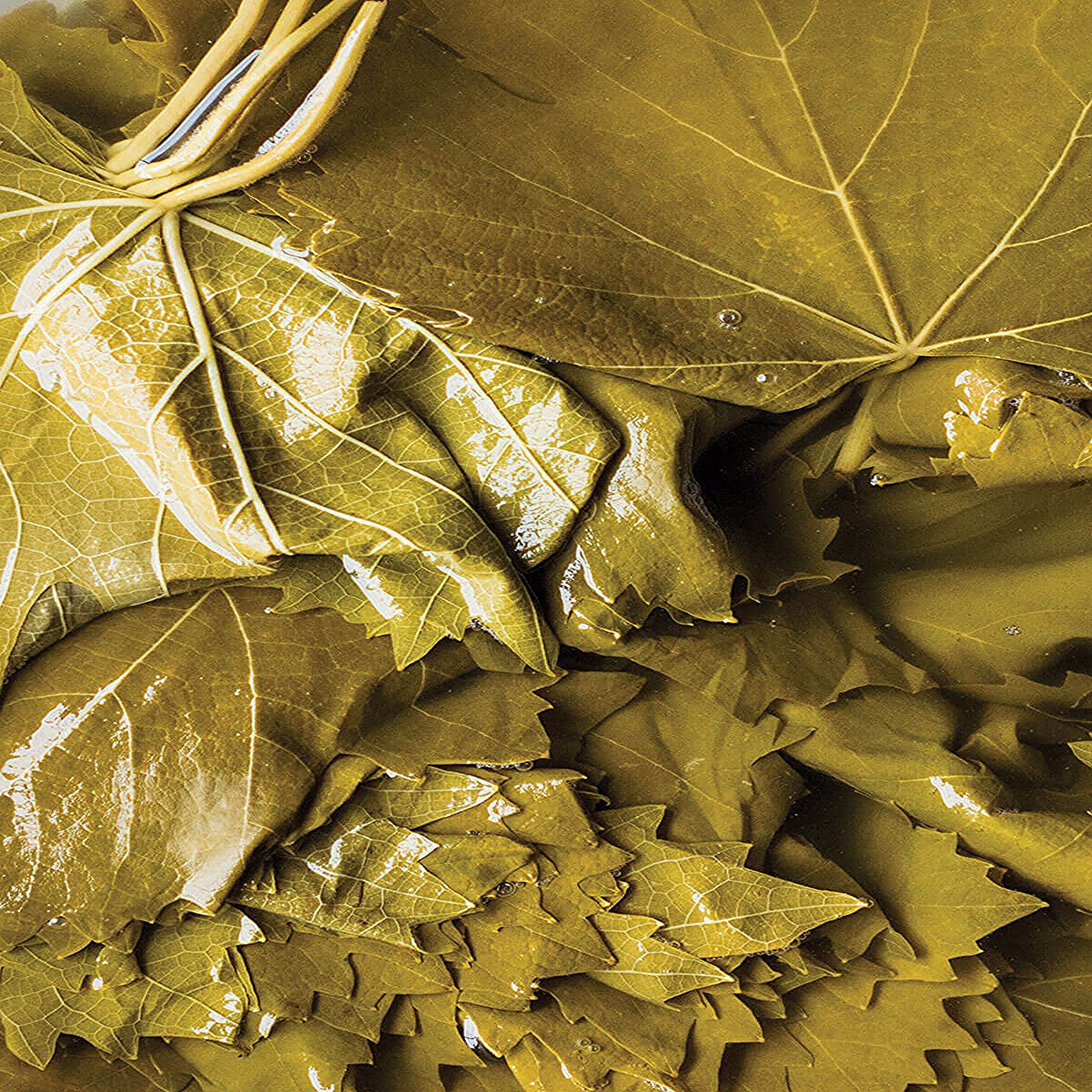 Pickled Grape Leaves Turkish Food Anatolian Flavors by Refa Etsy