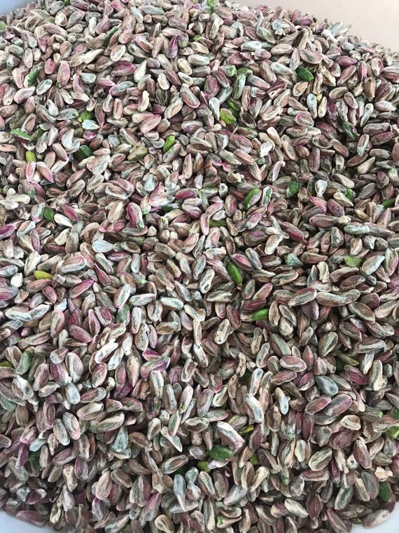 500g de pistaches sans coque et avec peau, graines de pistaches décortiquées  et non salées - préparer soi-même sa crème de pistaches : :  Epicerie