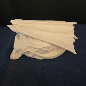 May include: A cream-colored, 3D-printed dragon wing sculpture. The wings are spread, with a textured surface and detailed edges. The sculpture is likely for decorative purposes or as part of a larger art piece.