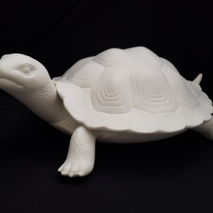 Ceramic Bisque - Large Turtle box with shell lid