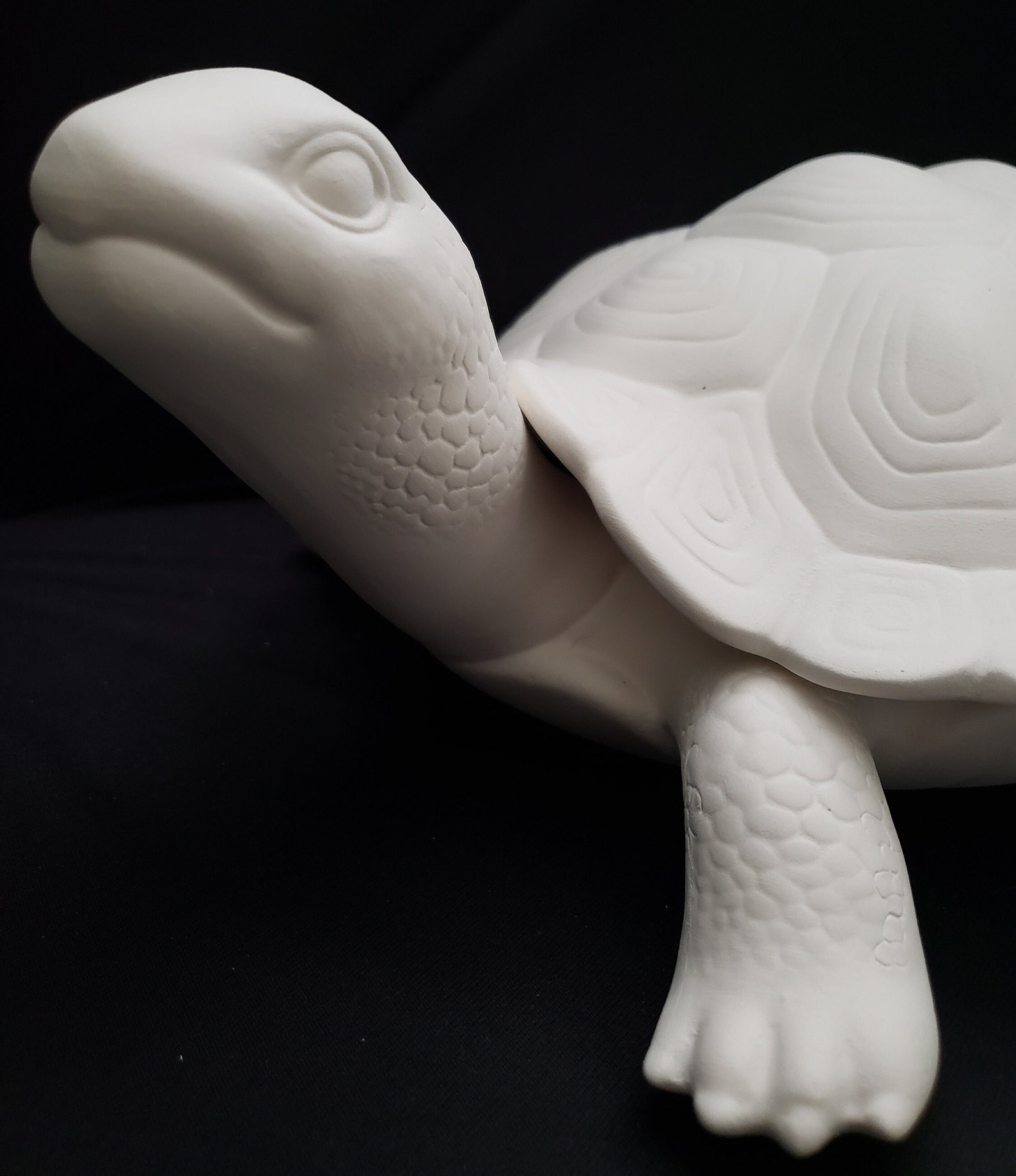 Ceramic Bisque - Large Turtle Box With Shell Lid - Etsy