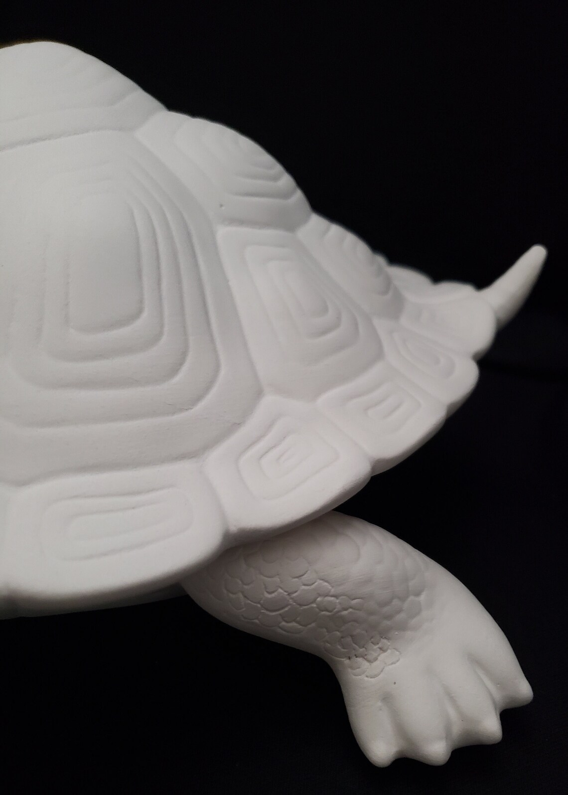 Ceramic Bisque - Large Turtle Box With Shell Lid - Etsy
