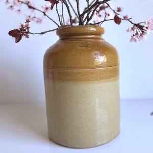 Peut inclure: Un pot en grès vintage à deux tons, beige et marron clair, contient des branches avec des fleurs roses. Le pot a un corps arrondi et un col étroit. Les fleurs ajoutent une touche de couleur à l'esthétique rustique.