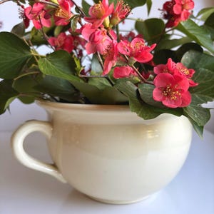 May include: A cream-coloured, handled bowl filled with vibrant red flowers and green foliage. The flowers have delicate petals and yellow centres. The bowl is smooth and glossy, creating a simple yet elegant floral arrangement.