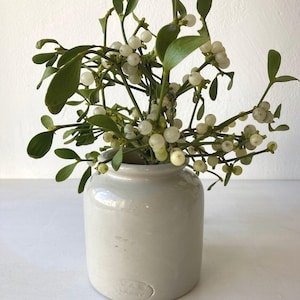 Puede incluir: Un pequeño jarrón de cerámica blanquecina lleno de una rama de muérdago. El muérdago tiene hojas verdes y pequeñas bayas blancas. El jarrón tiene forma cilíndrica y una superficie ligeramente texturizada. El jarrón está estampado con el texto "LAB LADNY".