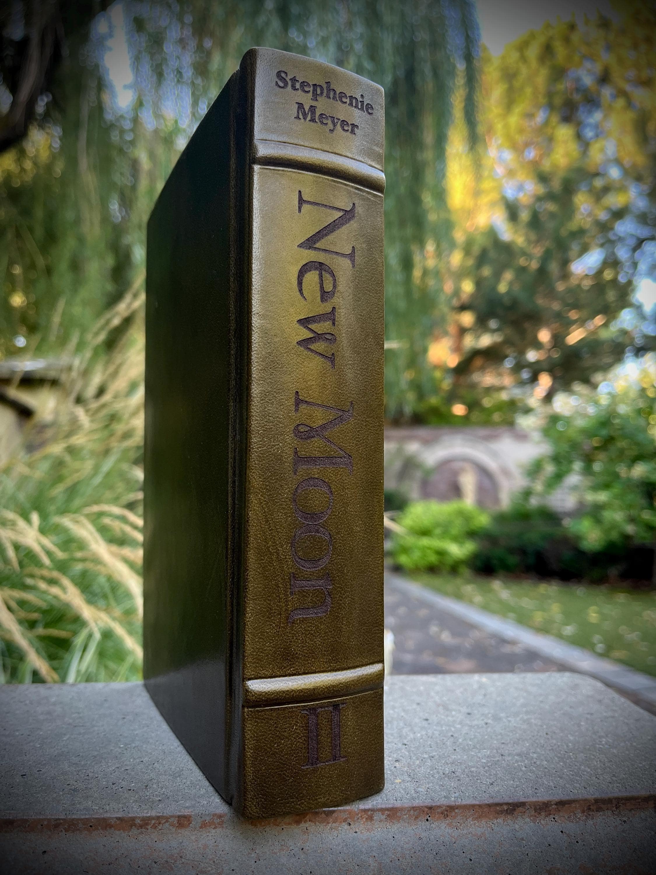 Twilight Saga Leather-bound set Twilight New Moon Eclipse Breaking Dawn Bella Swan Team Edward Cullen Team Jacob Forks Stephenie Meyer