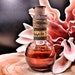 see more listings in the Potions/Bottles section