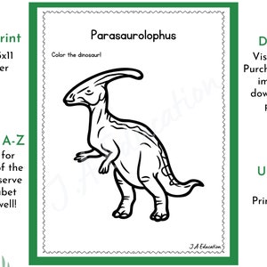 Realistic Dinosaur Coloring Pages, Printable Kids Dino Coloring Book, Toddler Boys Dinosaur Alphabet Book, Homeschool Preschool Printables image 4
