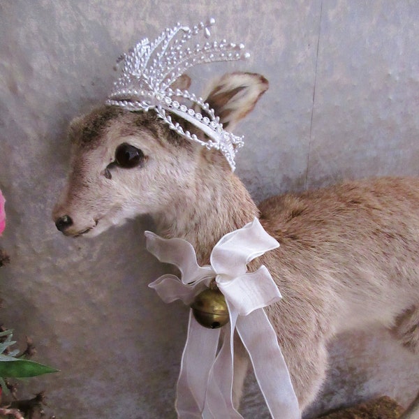 Antik Taxidermy Kitz Bambi stehend Rehkitz Tierpräparat Boudoir Shabby Boho brocante antique Deer Fawn Altpräparat Landhaus Cottage Baby RAR