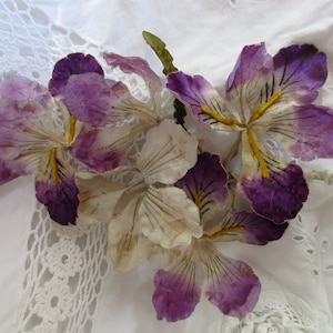 Vintage Millinery französische Samtblume Iris Hutblume Corsage Fascinator Deko Shabby brocante Boudoir in alter Pappschachtel Box Karton