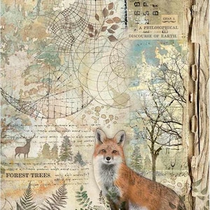 Stamperia Forest Collection Fox Rice Paper Gorgeous NEW Woodland Forest Pattern for Decoupage Card Making Journals A4 Size, Imported