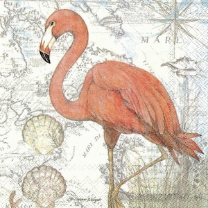 May include: A pink flamingo stands on one leg against a background of a vintage map with the words "MARE DI" and "GIV. AN" visible. The flamingo is facing left and has a long, thin neck and a long, thin beak. The map is faded and has a distressed look.