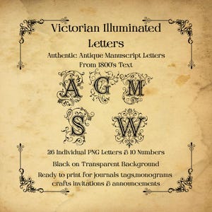 Op de afbeelding: Een vintage-afbeelding met sierlijke zwarte letters en cijfers op een perkamenten achtergrond. De tekst luidt "Victorian Illuminated Letters" en bevat de letters A, G, M, S en W. Klaar om af te drukken voor tijdschriften, tags, monogrammen, ambachten, uitnodigingen en aankondigingen.