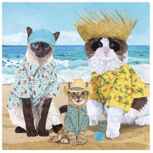 Cats on the Beach Decoupage Napkins Three Cats in Hats Having a Beach Party Includes Three Individual Luncheon Size Paper Napkins for Crafts