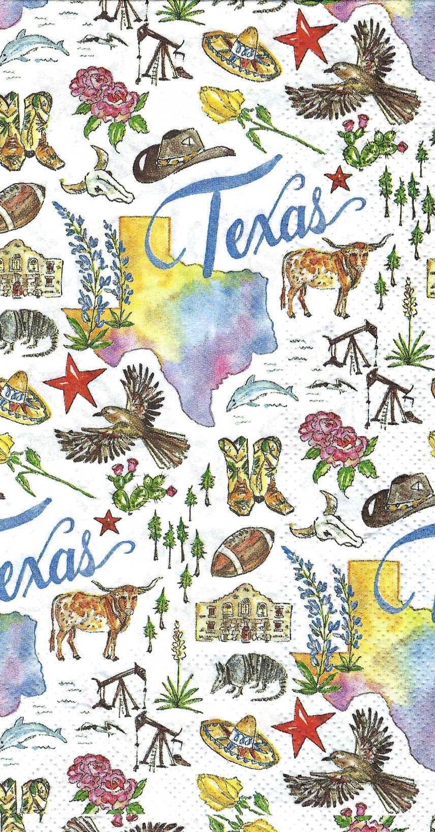 The Best Little Whorehouse in Texas Glitter Glitter Shapes Texas Shaped  Glitter Texas Glitter Tumbler Glitter Glitter for Resin 