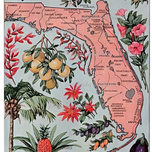 Retro Florida Map Digital Download Includes Three Sizes High Resolution, 1917 Agricultural Map of Floria, Beautiful Pink & Aqua Color Scheme