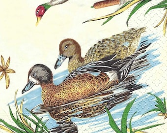 Duck Hunting Decoupage Napkins Wild Wood Ducks Pond with Reeds and Dogs Includes Three Premium Quality 6.5" Luncheon Size Paper Napkins