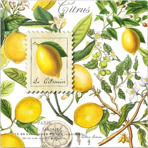 May include: A decorative square featuring a lemon-themed design. The image includes illustrations of lemons, green leaves, and white flowers, with the word "Citrus" in script. A postage stamp-like image reads "Le Citronnier".