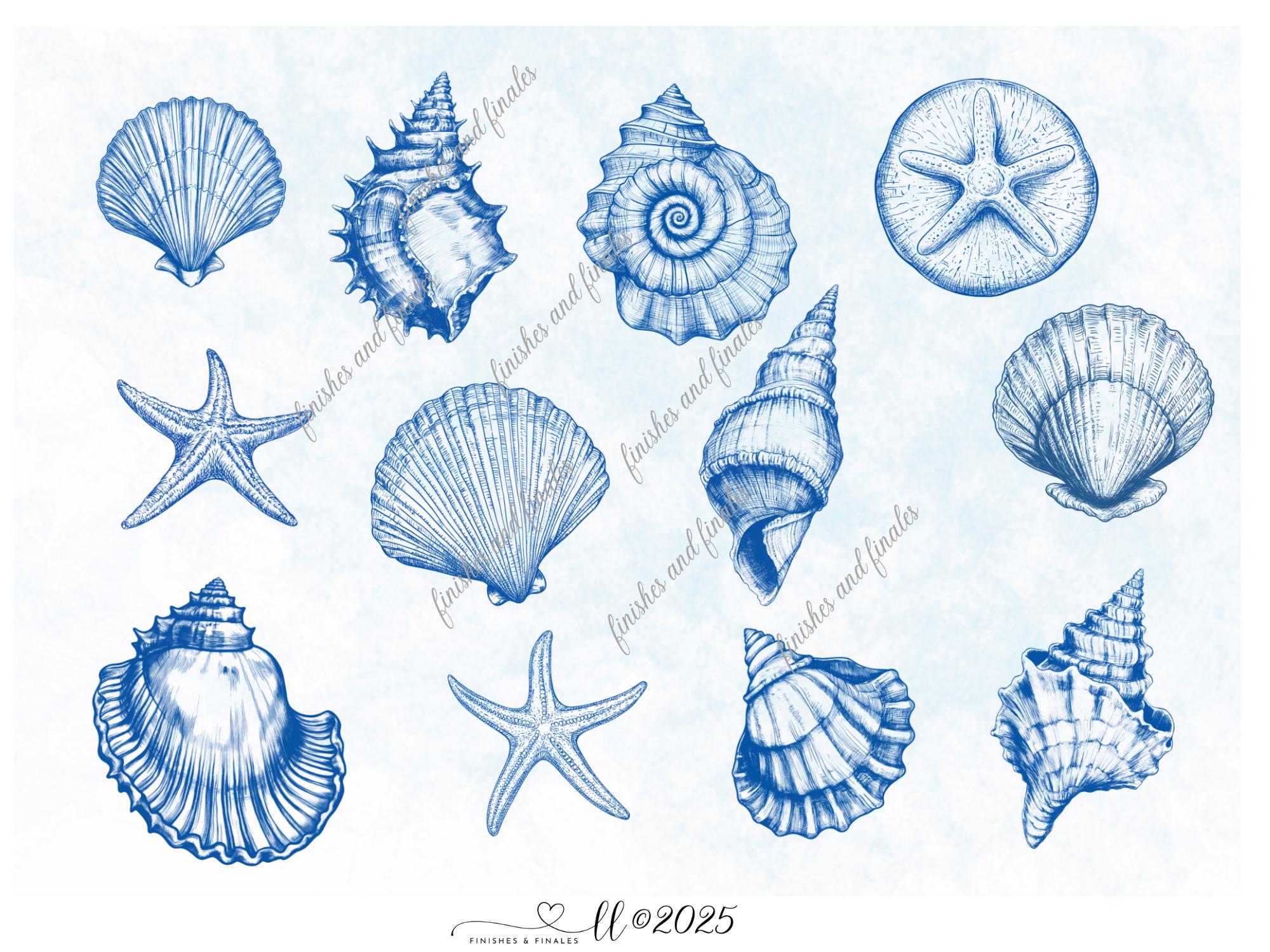 Blue Shell Digital Download Paper Starfish Sand Dollars Scallops, Fun Summertime Pattern, Our Design, Instant Download