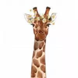 Giraffe with Daisies Decoupage Napkins Mr Giraffe withFlowers Around Ears Three Individual Luncheon Size Premium Quality Paper Napkins