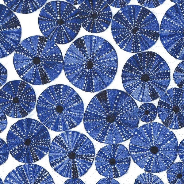 Decoupage Napkins Blue and White Sea Urchin Pattern Includes Three Paper Cocktail Size Napkins, Summer Beach Theme Paper