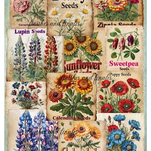 May include: A collage of vintage seed packets featuring various flowers like daisies, zinnias, and poppies. Each packet showcases detailed illustrations and the seed type, such as "Daisy Seeds" and "Calendula Seeds". The overall design has a rustic, aged aesthetic.