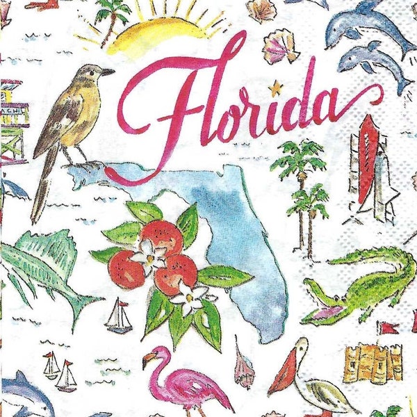 Decoupage Napkins State of Florida Two Guest Towel Size for Scrapbooking Decoupage Journaling Card Making Arts and Crafts