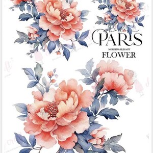 May include: A watercolor painting of pink peonies with blue-green leaves. The text "PAR'S MORDEN & ELEGANT FLOWER" is at the top of the image. The text "A PARIS, DCIM ERIE DE FIRMIN DIDOT, PRINTER DU ROI, DF ITUT KOVIL DE FRANCE, ET OR LA MARINE, 1817." is at the bottom of the image.