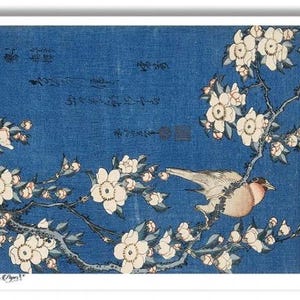 Japanese Bird Decoupage Rice Paper Blue and White Block Print Bullfinch and Weeping Cherry Choose One A4 or Two A5 Size Sheets