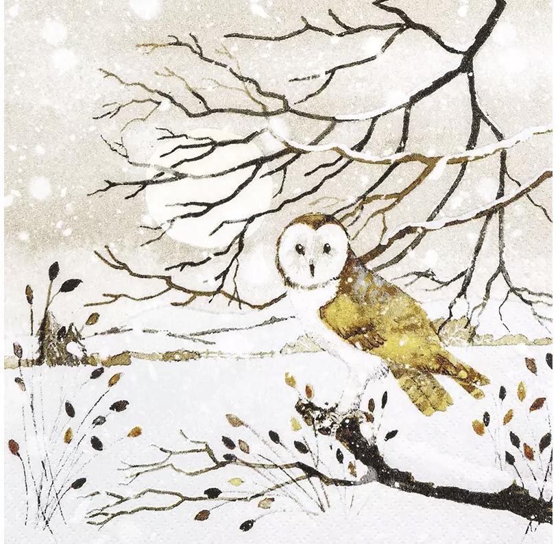 M471# 3 X Single Paper Napkins For Decoupage Craft Angry Grey Owl Snow Winter