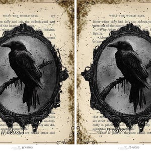 Black Crow Decoupage Rice Paper ~ Antique Book Page, Choice of 2 Sizes, Steampunk Style, Halloween Rice Paper for Decoupage A5