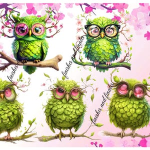 Silly Owls Rice Paper for Decoupage, One A4 or Two A5 Size Sheets , Bright Green Owls Big Eyes & Glasses Cheery Cherry Blossom Background