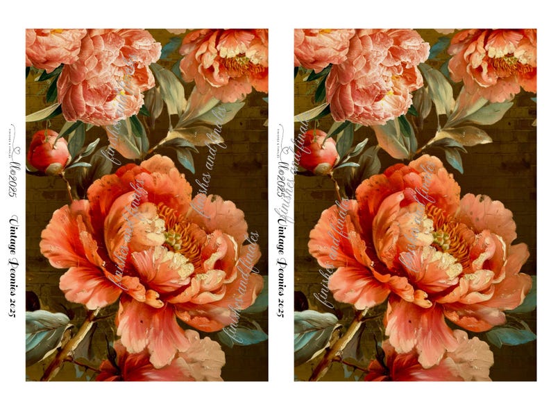 Peony Rice Paper Peonies Rice Paper in Gorgeous Salmon Pink Chose One Sheet of A4 or Two ...