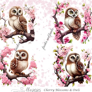 Owls Rice Paper for Decoupage Four Cute Chubby Owls on Cherry Blossom Branches Choose One A4 or Two A5 Size Brown Owls on Pink Flower Branch