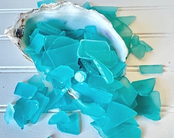 May include: A collection of numerous small, smooth, frosted turquoise sea glass pieces scattered around and inside a large, open, natural white oyster shell. The glass fragments vary in shape and size, displaying a vibrant, translucent blue-green hue.
