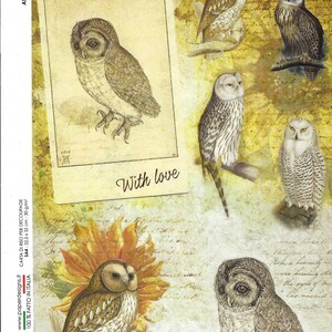 Owls Decoupage Rice Paper Beautiful Black and White Owls on Aged Letter Paper with Sunflowers A4 Size Printed in Italy, Includes on Sheet