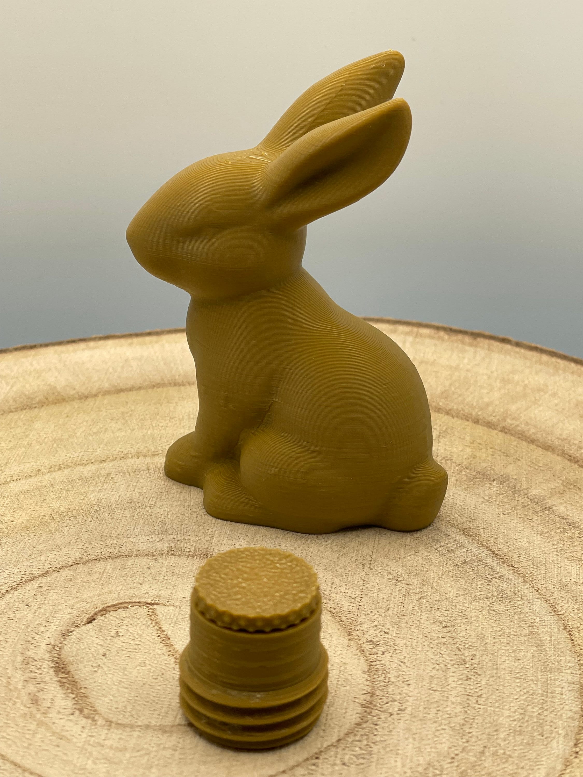Conteneur De Géocache Lapin De Pâques - Dur Plastique - Avec Log Book