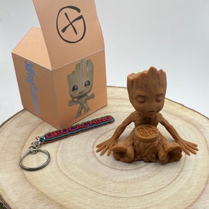 Tough Groot Geocache Container: Includes Log Book & Keyring image 3