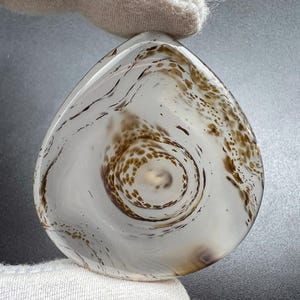 Può includere: Una gemma di agata dendritica lucida a forma di goccia, caratterizzata da una base bianco latte traslucida con complesse inclusioni vorticose marroni e grigio scuro che formano motivi organici simili a muschio che si irradiano dal centro.
