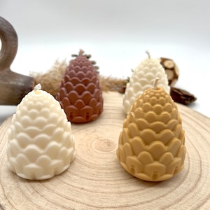 Pinecone-pinecone candles-autumn decoration-autumn decoration-gypsum decoration-handmade-rapeseed wax