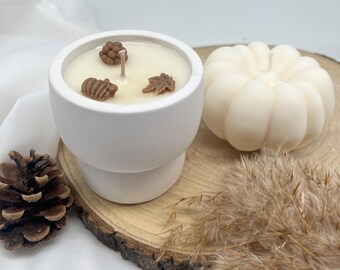 scented candle-simple-gypsum-rapeseed wax-autumn candle-autumn scented candle-vegan-fragrance-fragrance oils-pumpkin pie-nuts-lavender-milk-honey-gifts