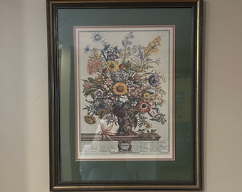 Robert Furber Print Vintage  Robert Furber Twelve Months of Flowers November Framed Print