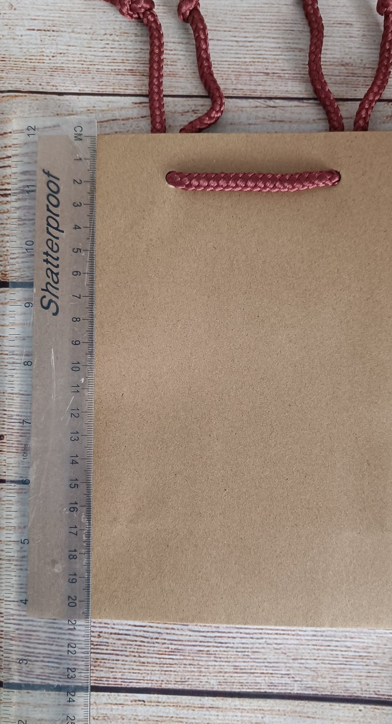 May include: A brown paper gift bag with red rope handles. The bag has the words "Shatterproof" printed on the side.