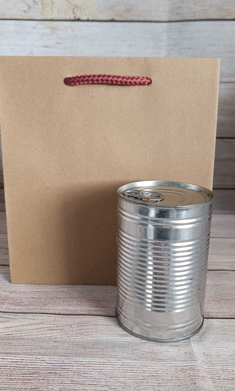 May include: A brown paper gift bag with a red rope handle and a silver can with a pull tab on top.
