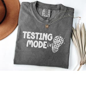 Testing Day Shirt, State Testing Shirt, Teacher Testing Tee, School Test TShirt, State Testing Shirts, Comfort Colors Tee, Staar Testing