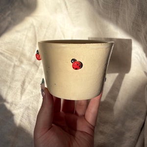Ceramic Ladybug Planter Handmade Pottery