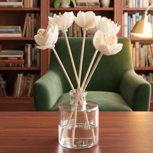 Roseaux de diffuseur |  Lot de 6 anches