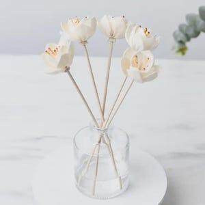 May include: A clear glass diffuser bottle with white flower reeds. The flower reeds have a light brown stem and are made of a soft, off-white material. The bottle sits on a white, round surface.