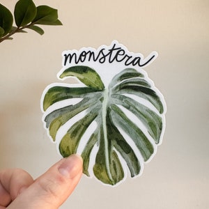 Monstera Plant Sticker, Plant Mom Sticker, Watercolor Plant Sticker, Houseplant Sticker, Laptop Sticker, Water Bottle Sticker, Cute Sticker