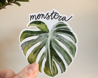 Monstera Pflanzenaufkleber, Pflanzenaufkleber, Zimmerpflanze Aufkleber, Laptop Aufkleber, Wasserflasche Aufkleber, Niedlicher Aufkleber